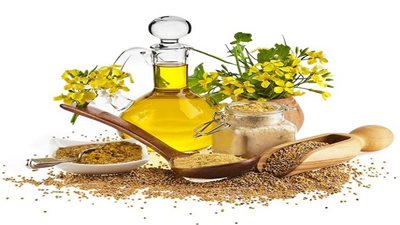 تعرف على الفوائد الصحية والجمالية لزيت الخردل 