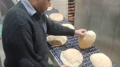 محافظ الدقهلية يحيل 156 محضرا بمخالفات صادمة إلى النيابة