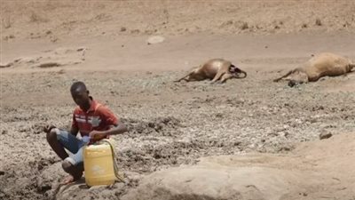 خبير سياسي جزائري: عام 2022 نقطة تحول في قارة إفريقيا.. فيديو