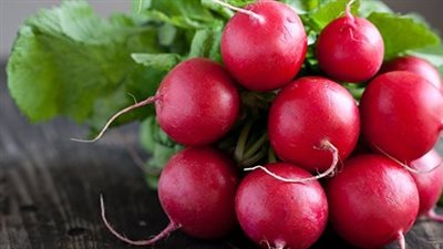 5 فوائد مذهلة لصحتك في الفجل 