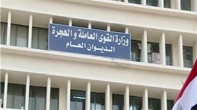 برابط التقديم.. 1223 فرصة عمل جديدة في 6 محافظات