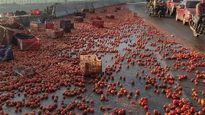 مصرع قائد سيارة نقل محملة بالطماطم إثر انقلابها على طريق جمصة