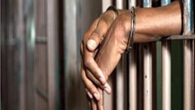 ضبط صاحب مخبز سياحي استولى على دقيق مدعم وبطاقات تموينية بالقليوبية