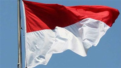 إندونيسيا تقرر الانضمام إلى بنك التنمية الجديد التابع لمجموعة بريكس