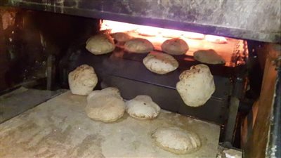 تحرير 39 مخالفة تموينية لعدد من المخابز بمركز سمالوط بالمنيا