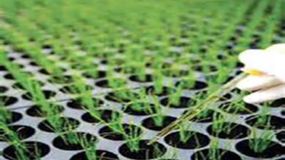 بالفيديو.. مسئول كبير داخل وزارة الزراعة يكشف حقيقة فشل مشروعات الصوب