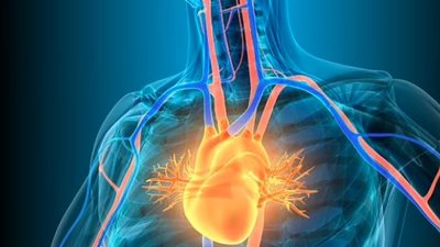 اختبار بسيط يوضح احتمالية إصابتك بـ النوبة القلبية