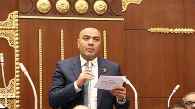 عضو بمجلس الشيوخ يطالب الحكومة بوضع استراتيجية لتطوير شركات قطاع الأعمال