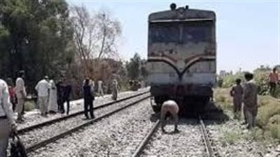 إصابة سيدة بـ«عاهة مستديمة» بسبب حادث بشع في أسوان 