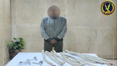 مقطع فيديو يكشف كواليس سرقة «مسجد» حلوان على يد مسجل خطر