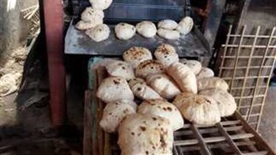 دمياط على صفيح ساخن.. تموين دمياط يعلن تحرير 916 محضرا ضد المخالفين 