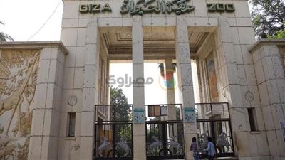 رئيس الإدارة المركزية لحدائق الحيوان يعلن فتح أبواب الحديقة للزوار