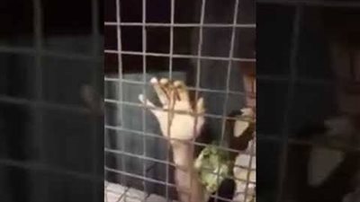 طالبين بالمرحلة الإعدادية.. تفاصيل مشاجرة ب 