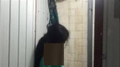 لمرورها بحالة نفسية.. انتحار سيدة شنقًا داخل منزلها في سوهاج
