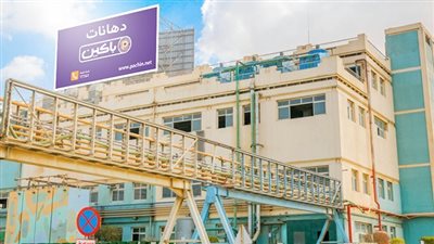 بالمستندات.. قصة اختلاس 3 ملايين جنيه من شركة «باكين» للبويات والصناعات الكيماوية