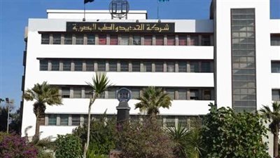 نسف 4 مليارات جنيه بسبب قرارات بيع أصول «الحديد والصلب المصرية» 