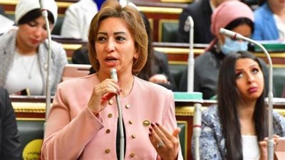 النائبة مها عبد الناصر تساءل الحكومة: ماذا بعد مبادلة الديون بالأصول؟