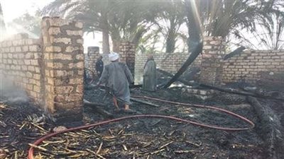 خسائر بالملايين.. نفوق 25 رأس ماشية و3 خيول في مزرعة بنبروه