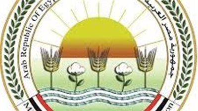 وزارة الزراعة تطمئن على القمح والمحاصيل الشتوية وبرامج إنتاج التقاوي