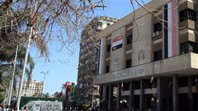 استئناف المنصورة تصدر حكمًا بأحقية العاملين في كهرباء شمال الدلتا بضم العلاوات