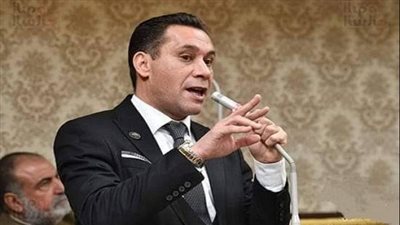 برلماني: مبادرات منتدى شباب العالم تنفيذ فعلي لتوصيات النسخ السابقة