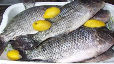 كيفية التخلص من زفارة السمك بصورة نهائية من المطبخ 