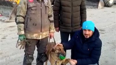 كلبة مدربة تنقذ 12 شخصا بـ زلزال تركيا