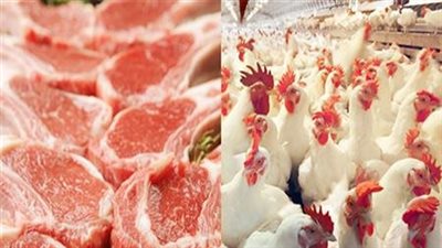 مواطنون ضد الغلاء: المحتكرون وراء زيادة أسعار اللحوم والدواجن