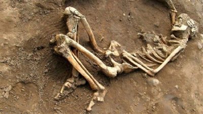 العثور على بقايا بشرية في متنزه باريسي بعد اكتشاف مماثل الإثنين