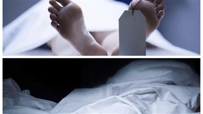 آخر تطورات وقائع لص سيارات الأميرية وقاتل جاره وعصابة خطف الحقائب