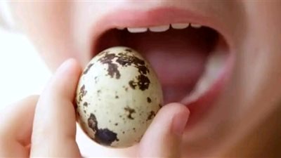 زيادة 50 قرشا في سعر بيض السمان خلال أقل من شهرين