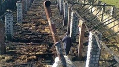 إخماد حريق داخل مزرعة دواجن في مطاي بالمنيا 