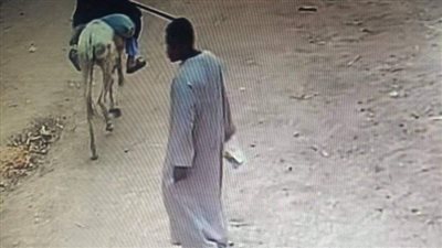 بالاسم والسن.. نهاية بشعة لـ«طفل» في أسوان