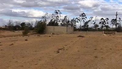 بعد فتح تلقي الطلبات.. 3 إجراءات لتوفيق أوضاع أراضي الشيخ زايد الجديدة