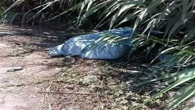 جثة شاب مذبوحا بين الزراعات تثير ذعر الأهالي بالغربية