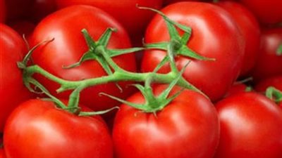 المملكة المتحدة تعيش أزمة طماطم!