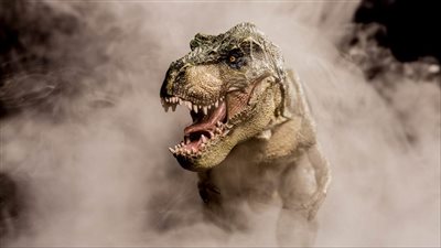 دراسة جديدة تكتشف وزن الديناصور ريكس الحقيقي.. أضخم المخلوقات التاريخية