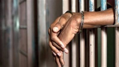 قرار جديد من محكمة جنايات الزقازيق بشأن قاتل والدته في منيا القمح