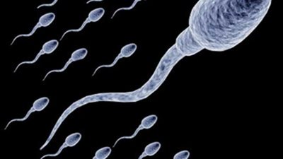 دراسة خطيرة: هذا الجهاز يدمر الحيوانات المنوية عند الرجال