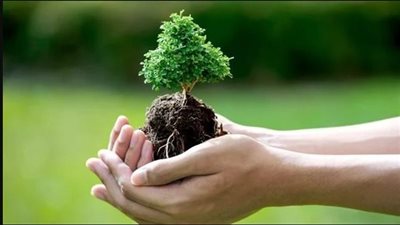 ضمن المبادرة الرئاسية.. زراعة أشجار مثمرة بنزلة البدرمان في ديرمواس بالمنيا