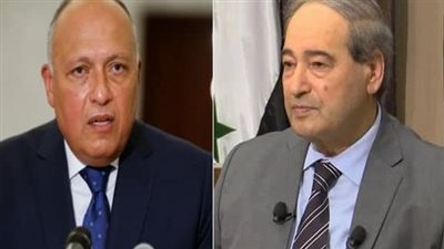 سوريا تحتفي بزيارة سامح شكري إلى دمشق.. صور