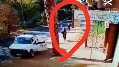 تفاصيل هجوم ملثمين مسلحين على قرية في أسوان