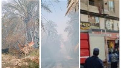 الحماية المدنية تسيطر على 5 حرائق فى الجيزة