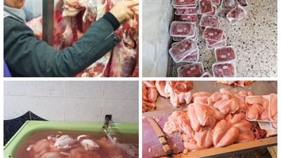 جهود الطب البيطرى لكشف المخالفين بمحافظات الجيزة والبحيرة والمنوفية وكفر الشيخ 