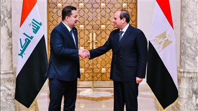 تفاصيل لقاء الرئيس السيسي ورئيس الوزراء العراقي بحضور عباس كامل وسامح شكري