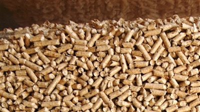 متحدث الزراعة: الإفراج عن 2.8 مليون طن من الأعلاف بـ1.5 مليار دولار