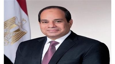  الرئيس السيسي: مفيش فرصة أن تتحمل مصر أي نقص للمياه 