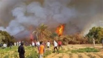 السيطرة على حريق نشب في زراعات قصب السكر بقنا 