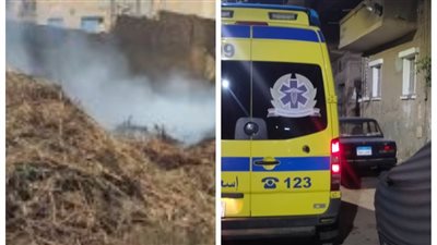 الحماية المدنية تسيطر على حرائق الإسماعيلية والجيزة والأقصر والقاهرة وسوهاج 