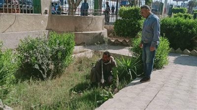 زراعة أشجار مثمرة بمركز ديرمواس بالمنيا ضمن مبادرة 100 مليون شجرة 